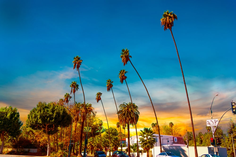 Explore The Sunset Strip